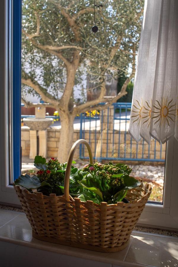 Olive Tree Apartments Umag Exterior foto