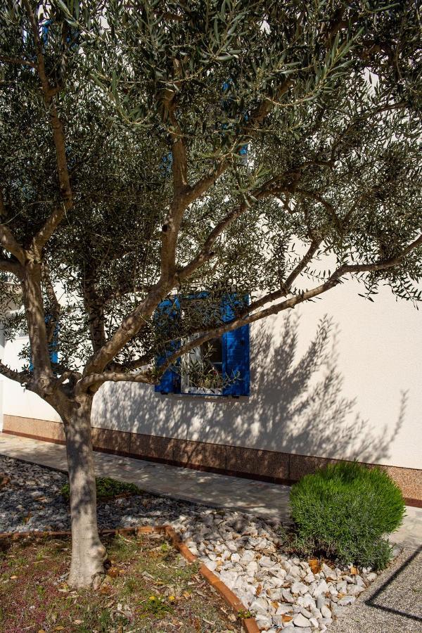 Olive Tree Apartments Umag Exterior foto
